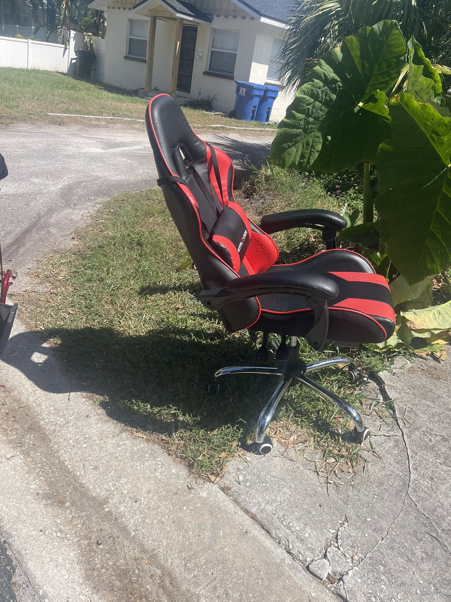 Free Spotted Curbside