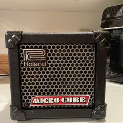 Roland Micro Cube N225 Guitar Amp w/ Mic Input – Compact Portable Amplifier
