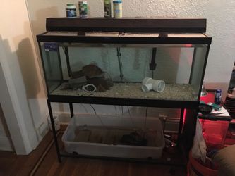 75 gallon full set up $200