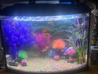 Aquarium glass 30 gallon top display .