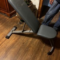 Dankskin Weight Bench 