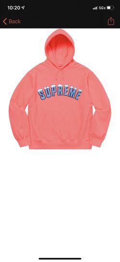 Supreme Icy Arc Hoodie Size S