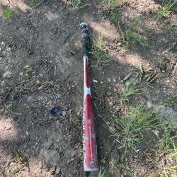 Bat 