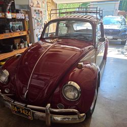 VW Beetle