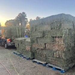 HAY/ALFALFA 
