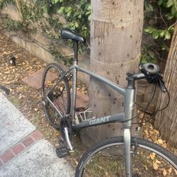 Giant Escape 3XL bike