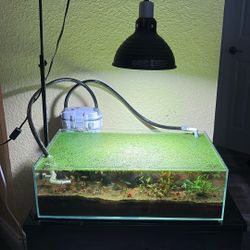 11g Shallow Tank By Uns 
