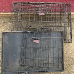 Kong dog crate good condition