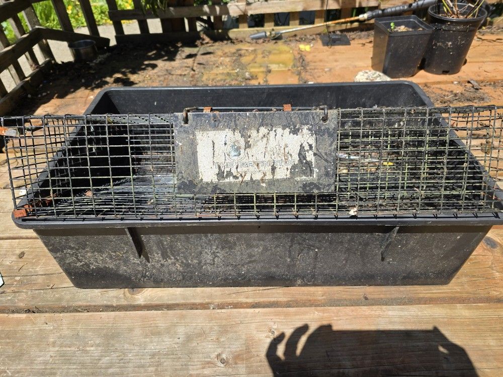 Ratonater Rat Trap