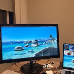 Visonic 24” monitor 