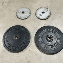 Standard Weights 65lb