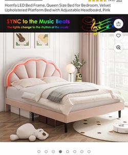 Queen bed frame (free mattress)