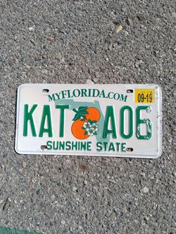 Old Florida License Plate