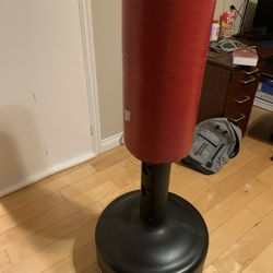 Kid Kick Punching Bag