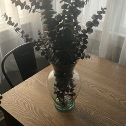 Free Vase With Eucalyptus 