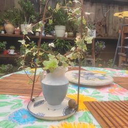 Pitcher 2Heart Vine APPR.6' L&4'L