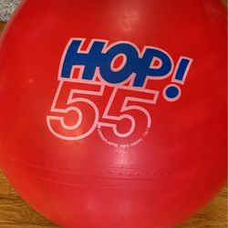 Childrens Toys Cute Gift Classroom Homeschool Bouncy Ball Hop 55 Fun Exercise Outdoors Or Inside Fun!  Cute Gifts 
