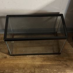 10 Gallon Tank 