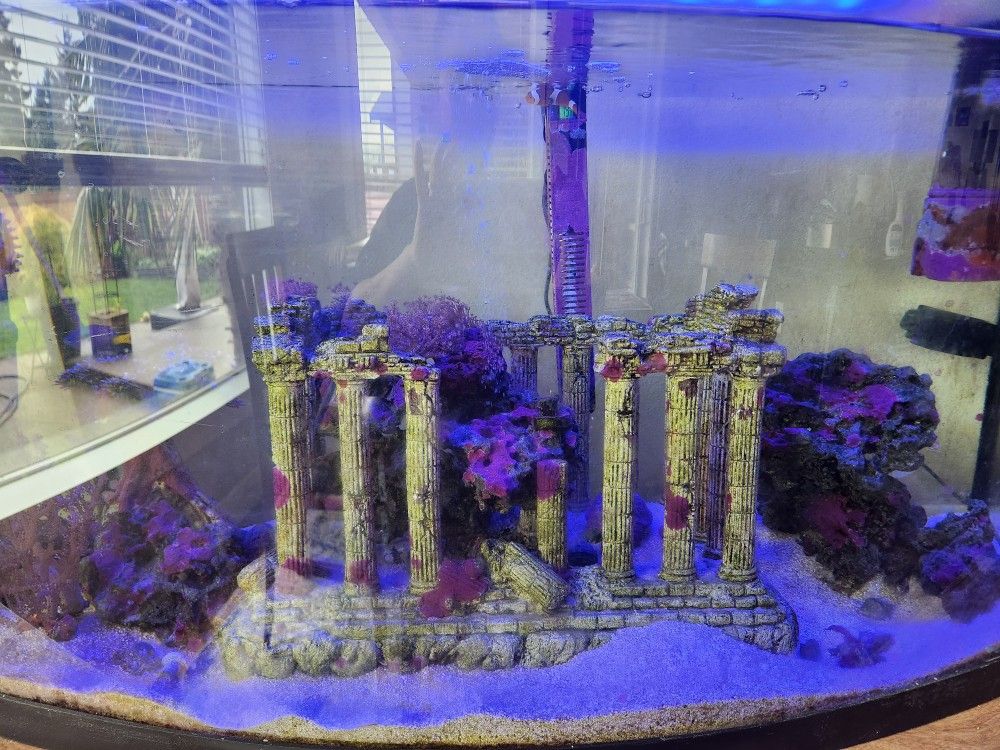 Salt water Tank