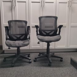 Home Office chairs (2)