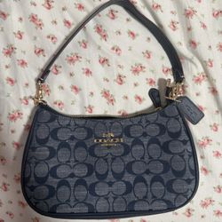 coach teri shoulder bag/purse