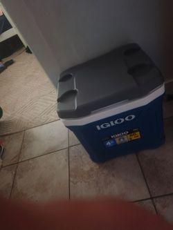 Cooler