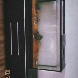Fish Tank