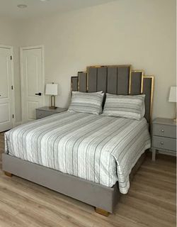 Grey Velvet Upholstered Bed with Gold Trim Headboard