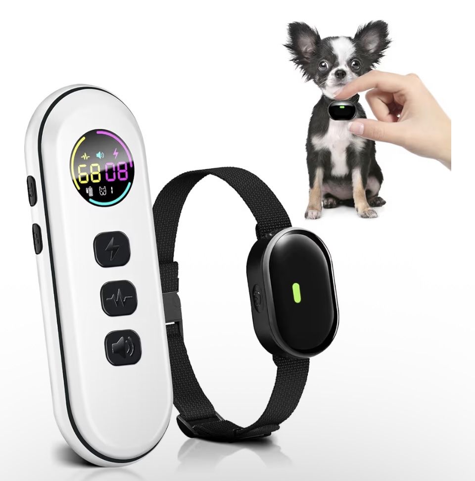 Small Dog Training Collar