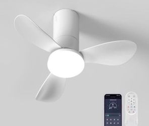 26 Inch Ceiling Fans with Lights, 3 Blade Low Profile Small Ceiling Fan with Light for Bedroom Dining Room Kitchen Patio (White