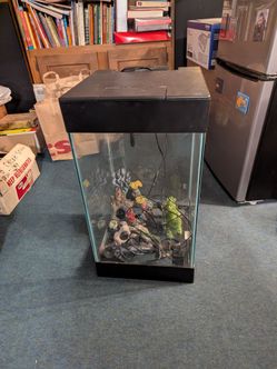 3 aquariums
