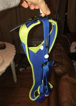 Large Dog Harness