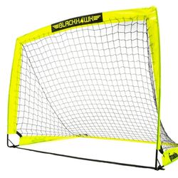 2 Soccer Nets $40