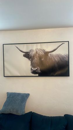 Highland Cow Canvas