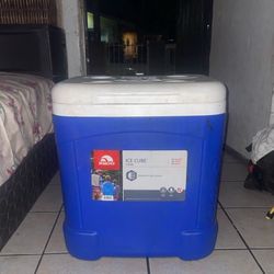 Igloo Cooler