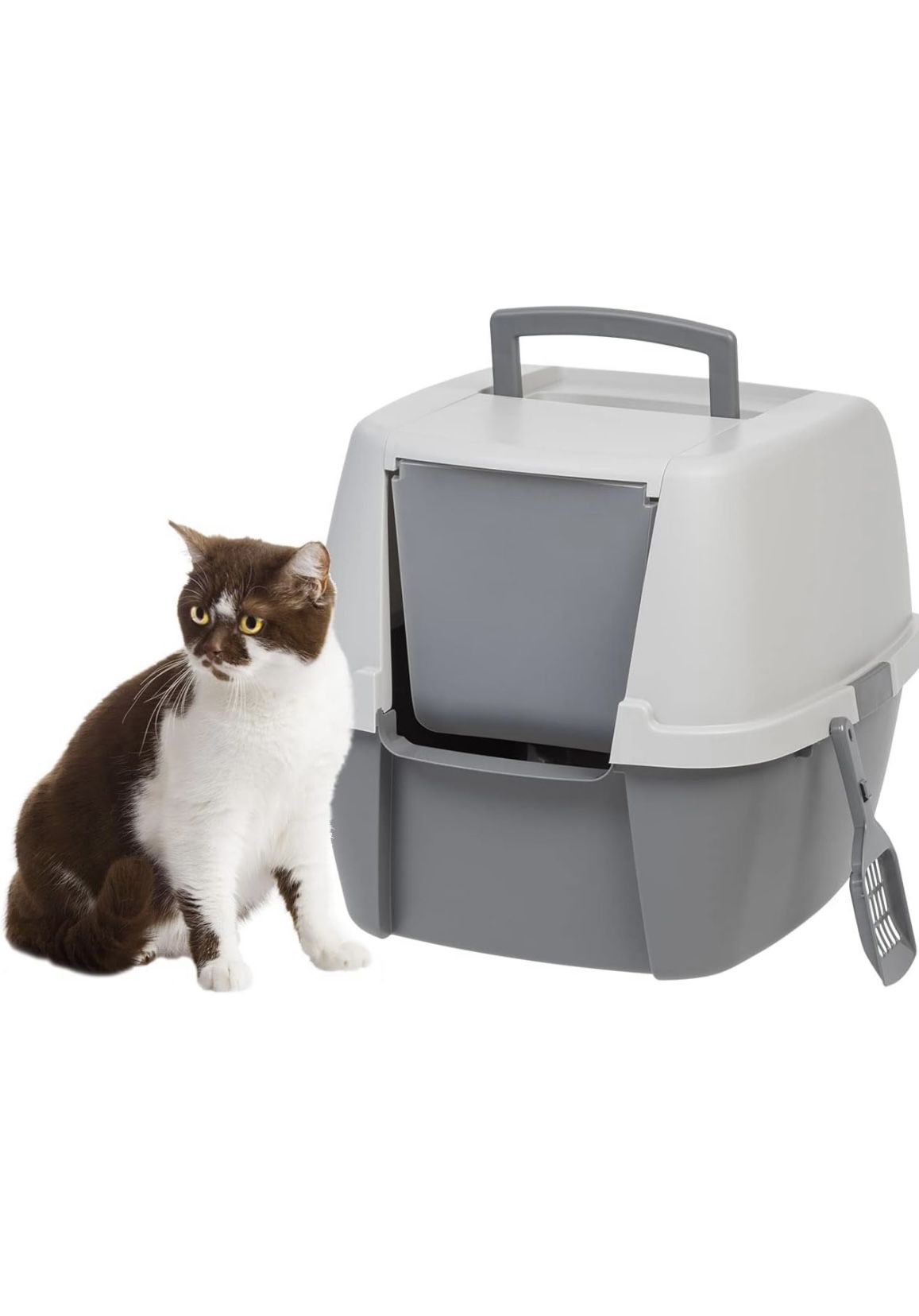 Kitty Litter House