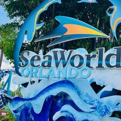Sea World, Busch Gardens, Aquatica