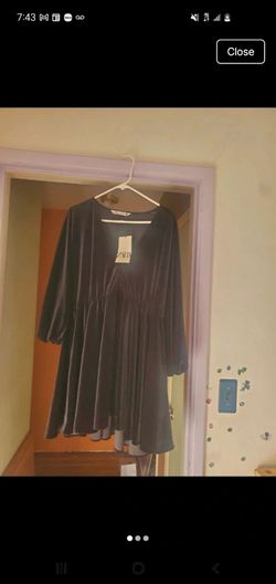 Zara dress