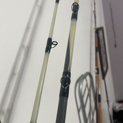 Seeker White Tiger Rods 