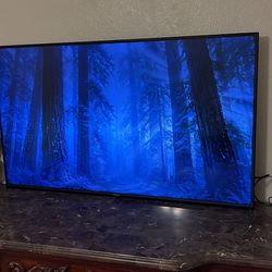 55 Inch Vizio Flat Screen