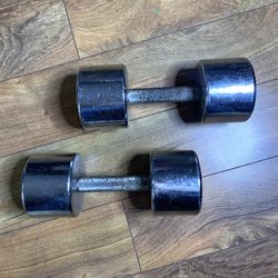 25 lb pound dumbbell exercise weights dumbbells #
