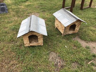 Dogs houses