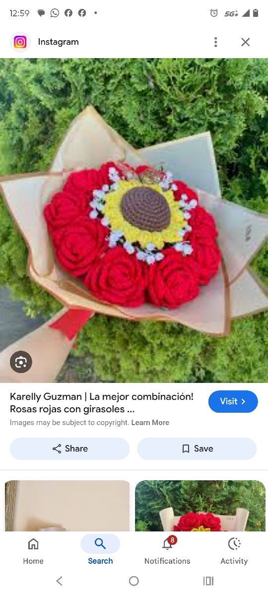 Ramos Tejidos A Crochet
