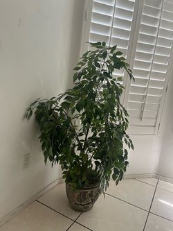 Large Faux Plant