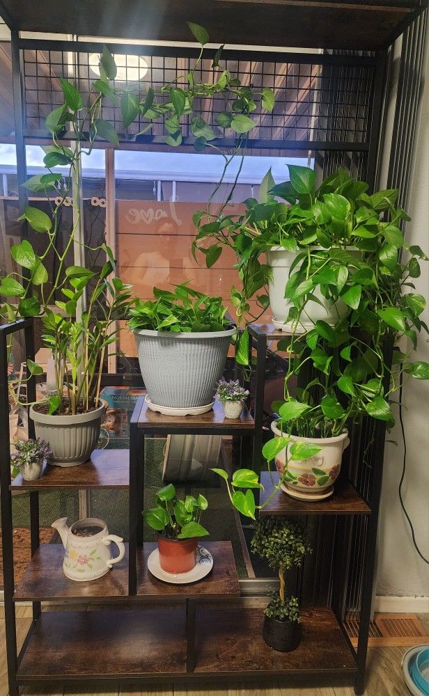 Plant Stand