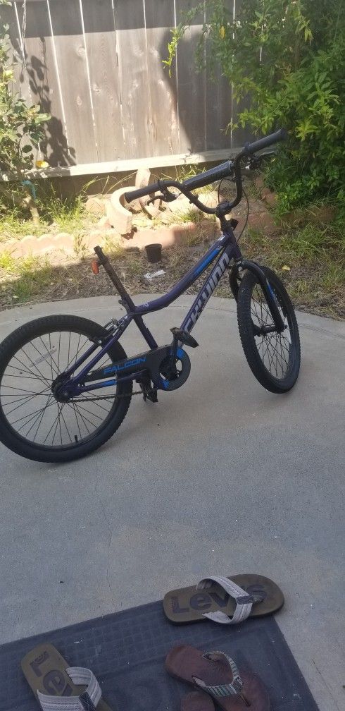 Schwinn 20 Inch With No Seat 