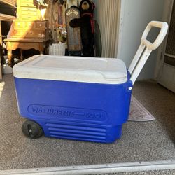 Camping Cooler 