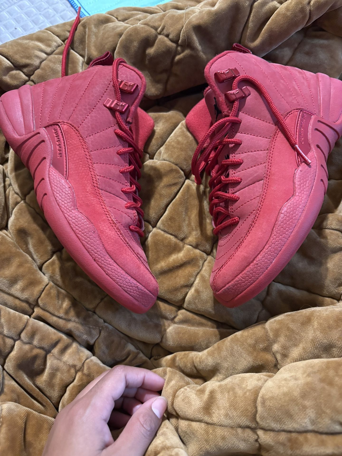 Gym Red Jordan 12