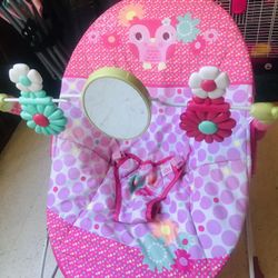 Bright starts bouncer pink green white owl flowers! Practically new!