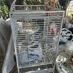Bird Cage